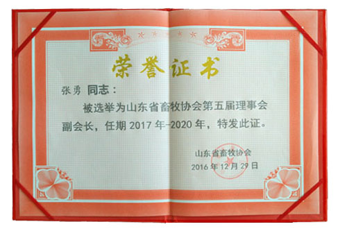 rongyuzhengshunei