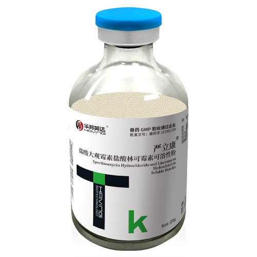 嚴立康?