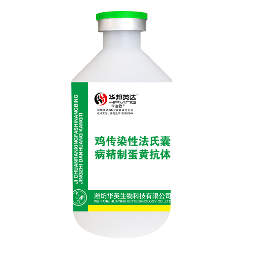 卡迪歐?